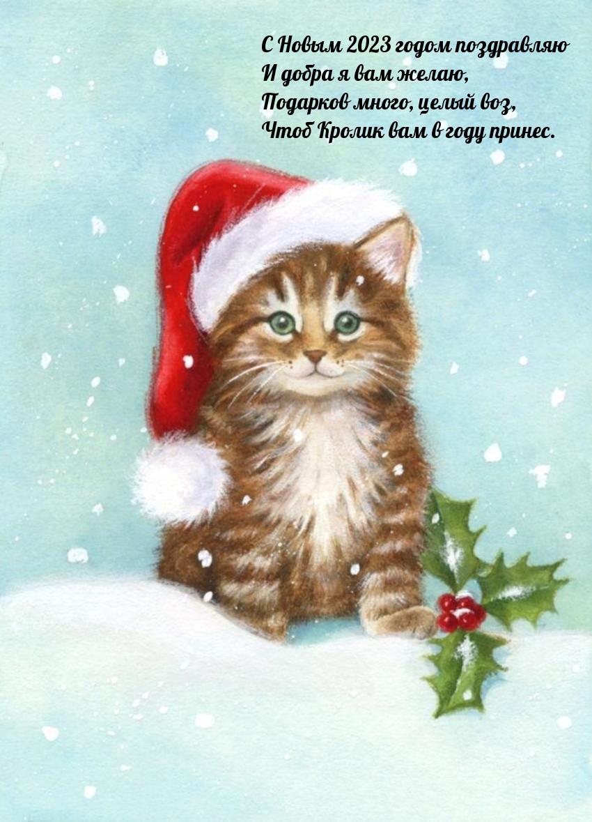 � ����� 2023 ����� ���������� � ����� � ��� �����.