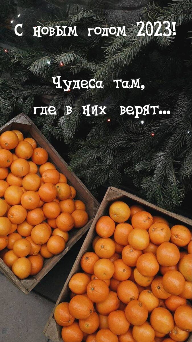 � ����� ����� 2023! ������ ���, ��� � ��� �����....