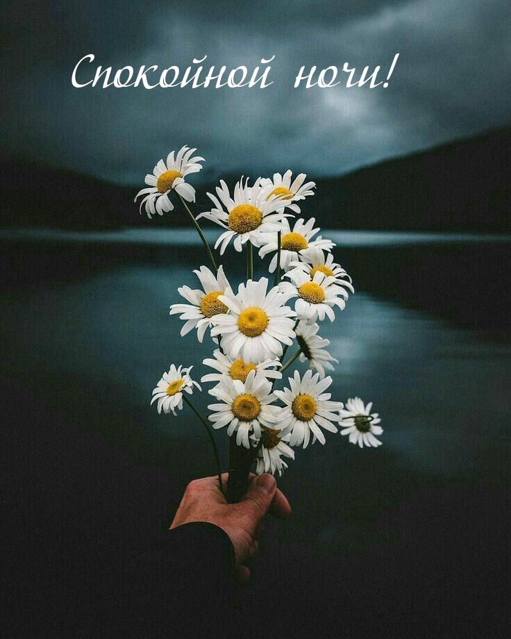 Ну что спать будем картинки с надписями. Смотреть фото Ну что спать будем картинки с надписями. Смотреть картинку Ну что спать будем картинки с надписями. Картинка про Ну что спать будем картинки с надписями. Фото Ну что спать будем картинки с надписями