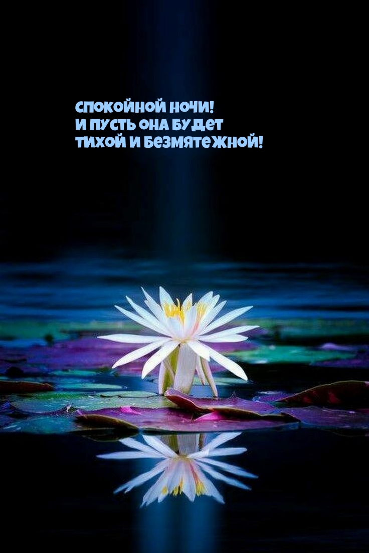 Красивые сны картинки прикольные. photowords ru 6013. Красивые сны картинки прикольные фото. Красивые сны картинки прикольные-photowords ru 6013. картинка Красивые сны картинки прикольные. картинка photowords ru 6013. Сон занимает треть суточного времени, а потому не удивительно, что появился такой замечательный обычай – желать друг другу спокойной ночи. Это связано с тем, что во сне человека могут поджидать кошмары, а его родные и близкие желают ему провести ночь спокойно, наслаждаясь каждой минутой отдыха.