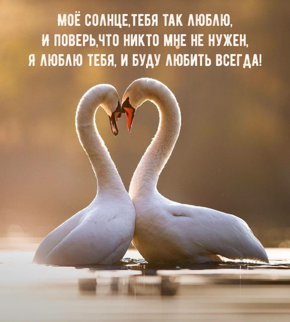 photowords ru 6258