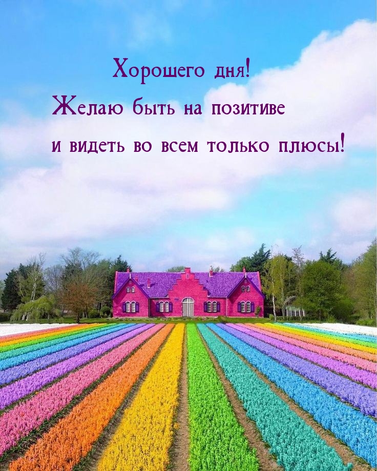 августовский день картинки с надписями красивые. Смотреть фото августовский день картинки с надписями красивые. Смотреть картинку августовский день картинки с надписями красивые. Картинка про августовский день картинки с надписями красивые. Фото августовский день картинки с надписями красивые