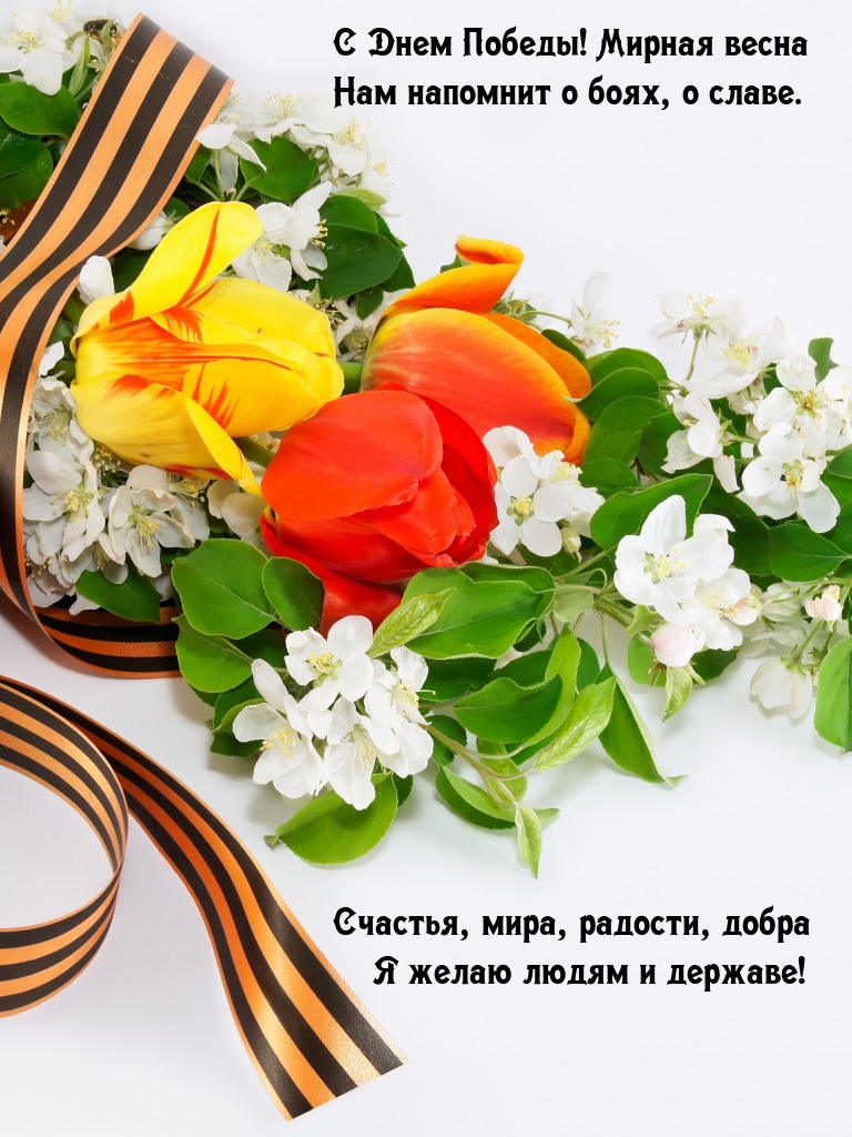 � ���� ������! ������ ����� ��� �������� � �����.