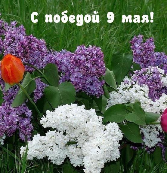 � ������� 9 ���!.