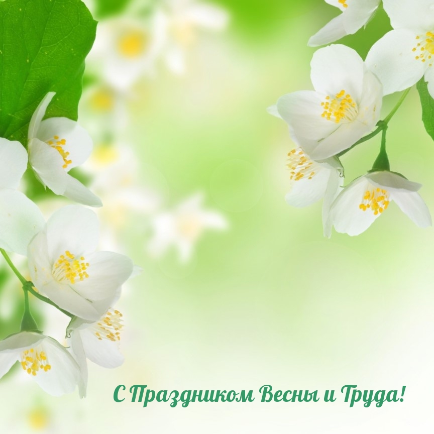 � ���������� ����� � �����!.