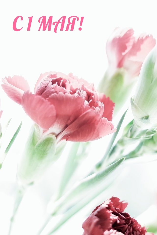 � 1 ���!.