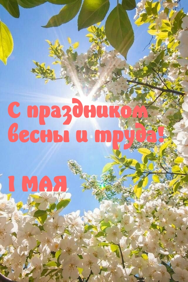 � ���������� ����� � �����! 1 ���.