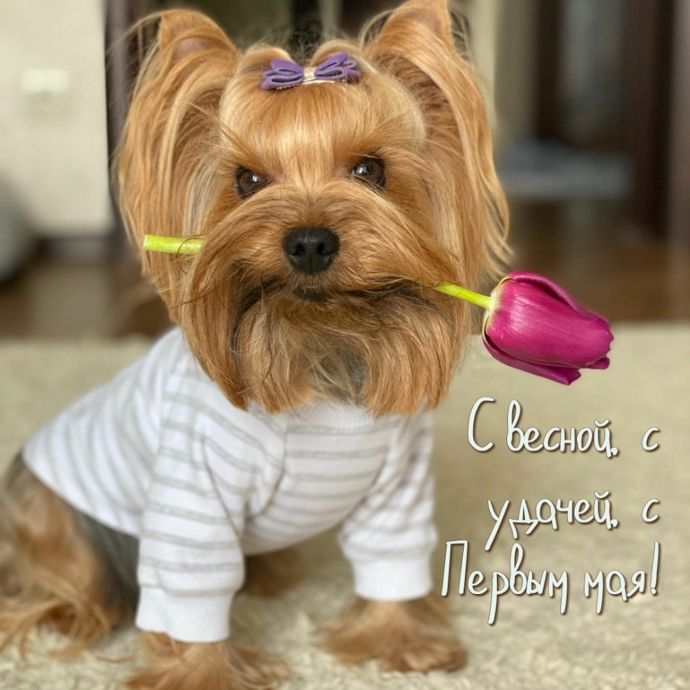 � ������, � ������, � ������ ���!.