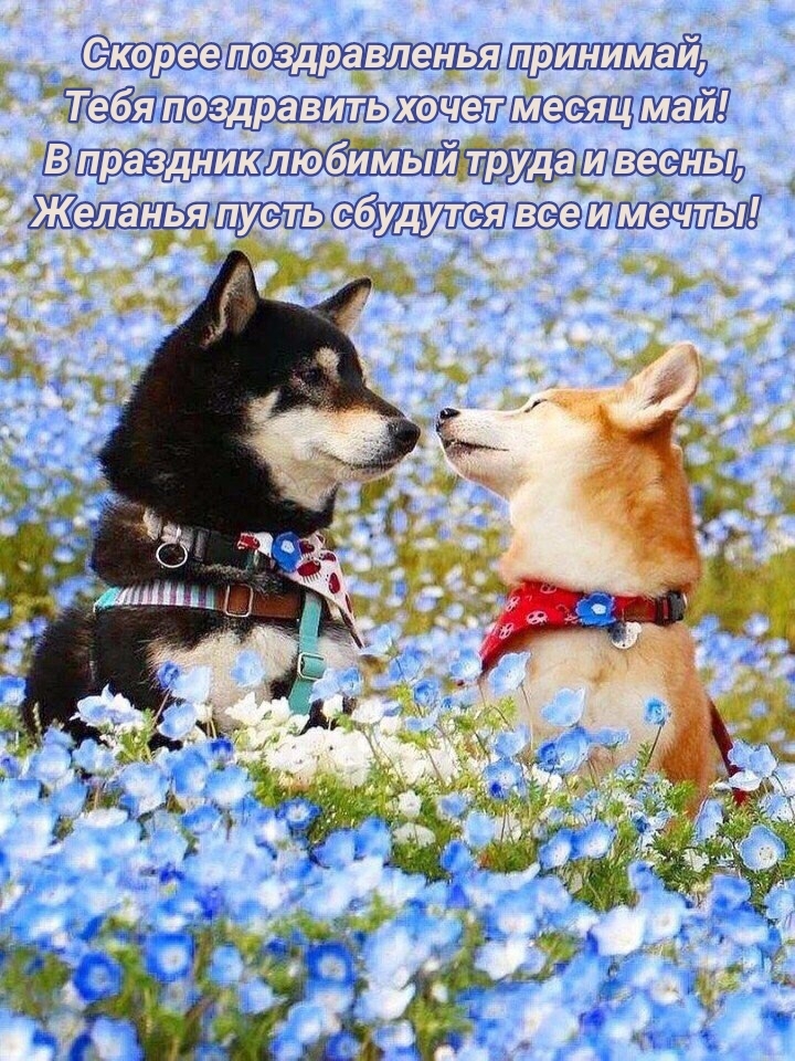 ���� ���������� ����� ����� ���!.