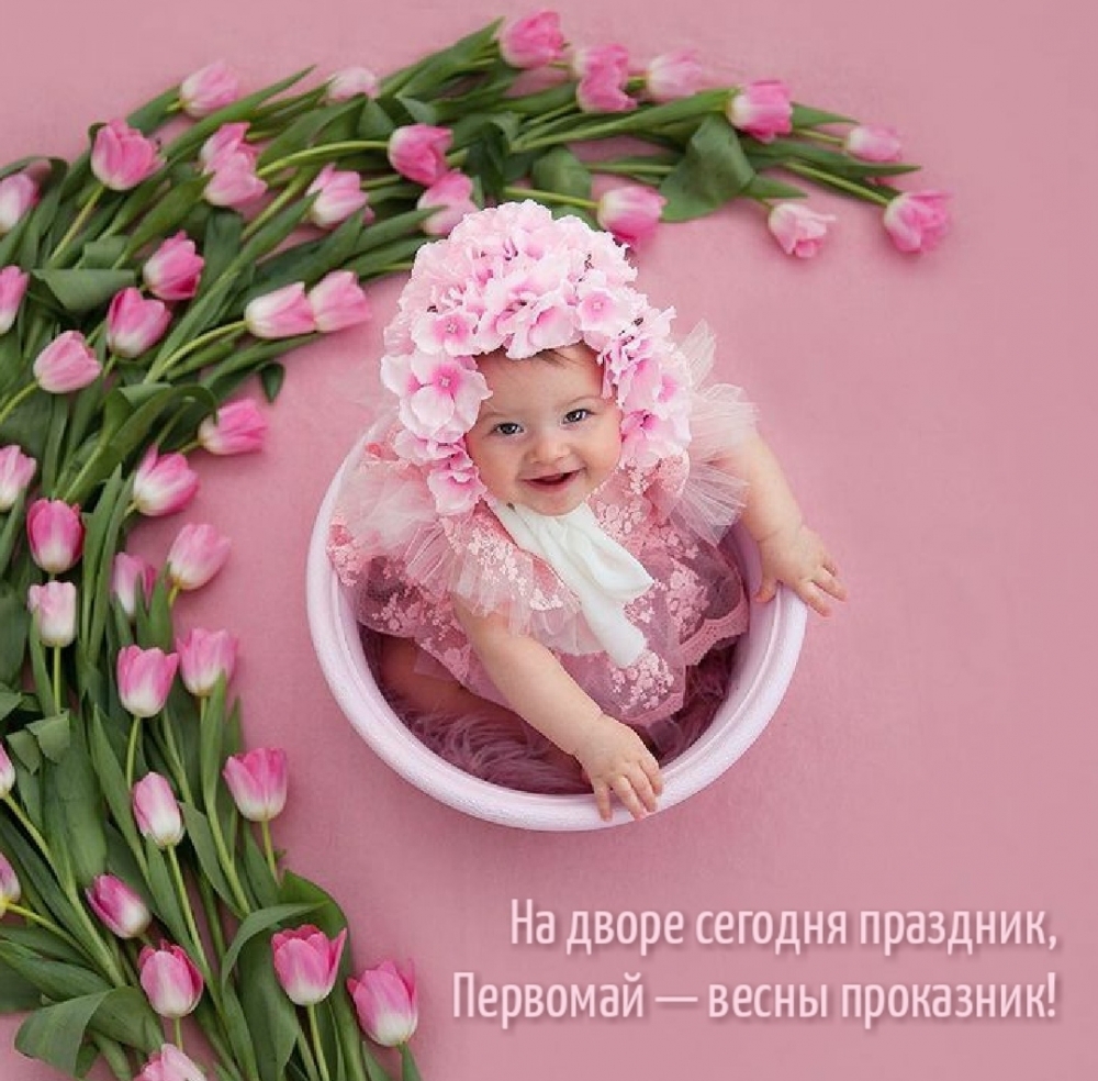 �� ����� ������� ��������, �������� � ����� ���������!.