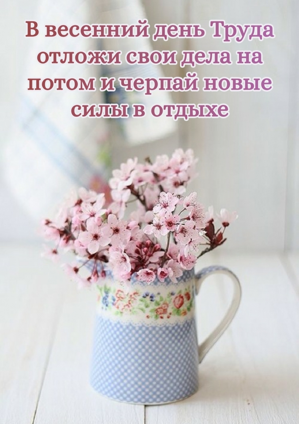 � �������� ���� ����� ������ ���� ���� �� �����.