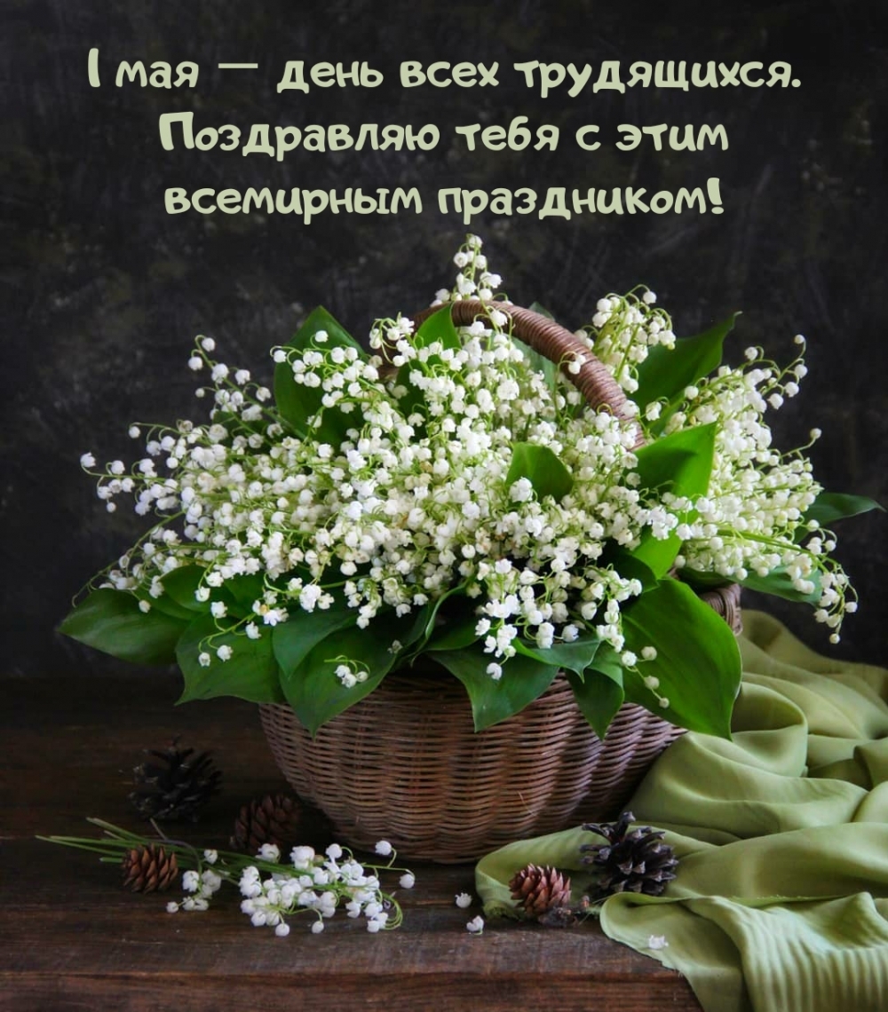 1 ��� � ���� ���� ����������..