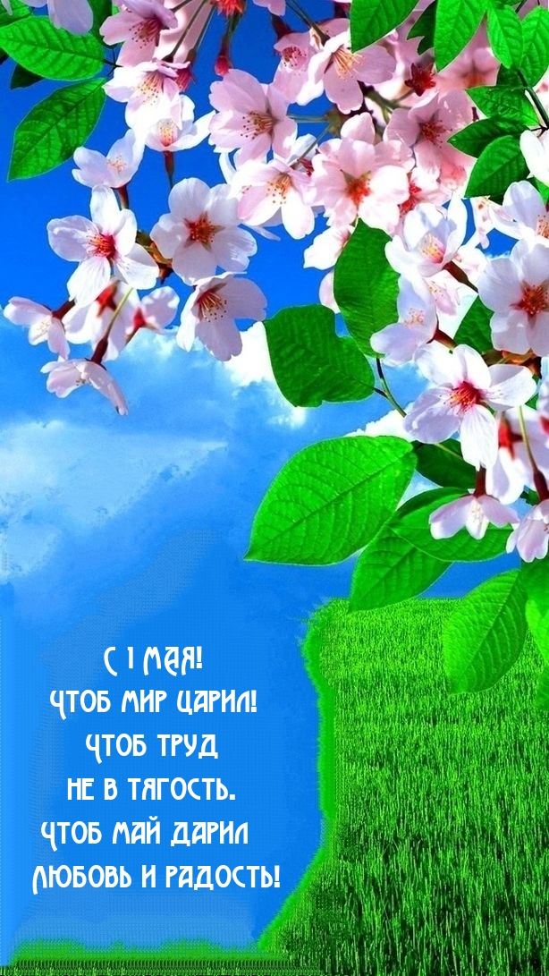 � 1 ���! ���� ��� �����!.