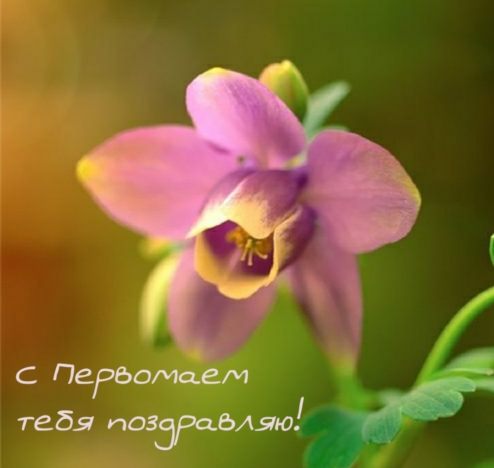 � ��������� ���� ����������!.