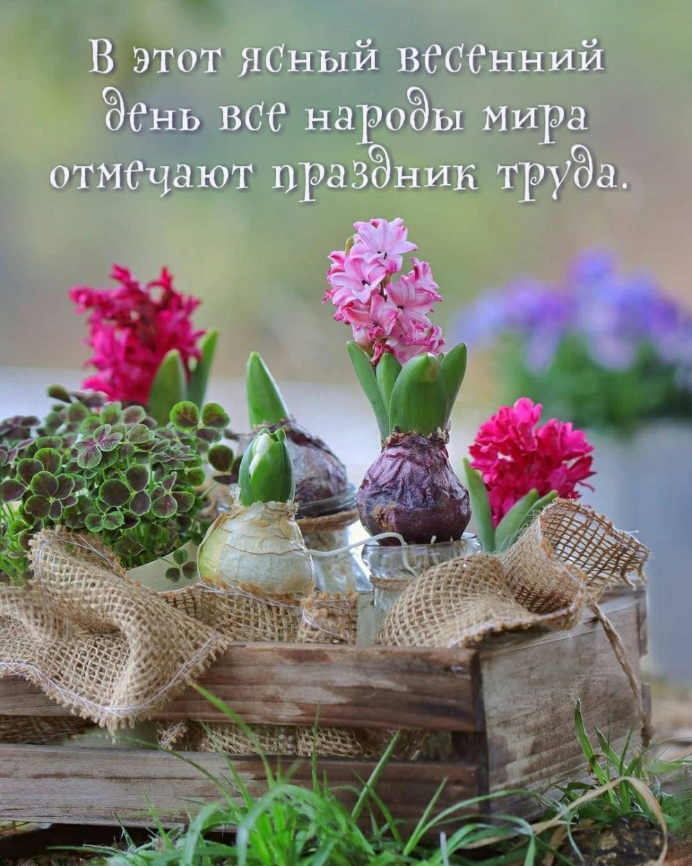 � ���� ����� �������� ���� �������� �����.