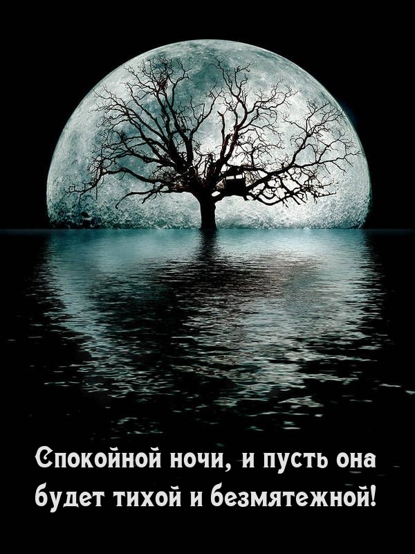 Красивые сны картинки прикольные. photowords ru 7119. Красивые сны картинки прикольные фото. Красивые сны картинки прикольные-photowords ru 7119. картинка Красивые сны картинки прикольные. картинка photowords ru 7119. Сон занимает треть суточного времени, а потому не удивительно, что появился такой замечательный обычай – желать друг другу спокойной ночи. Это связано с тем, что во сне человека могут поджидать кошмары, а его родные и близкие желают ему провести ночь спокойно, наслаждаясь каждой минутой отдыха.