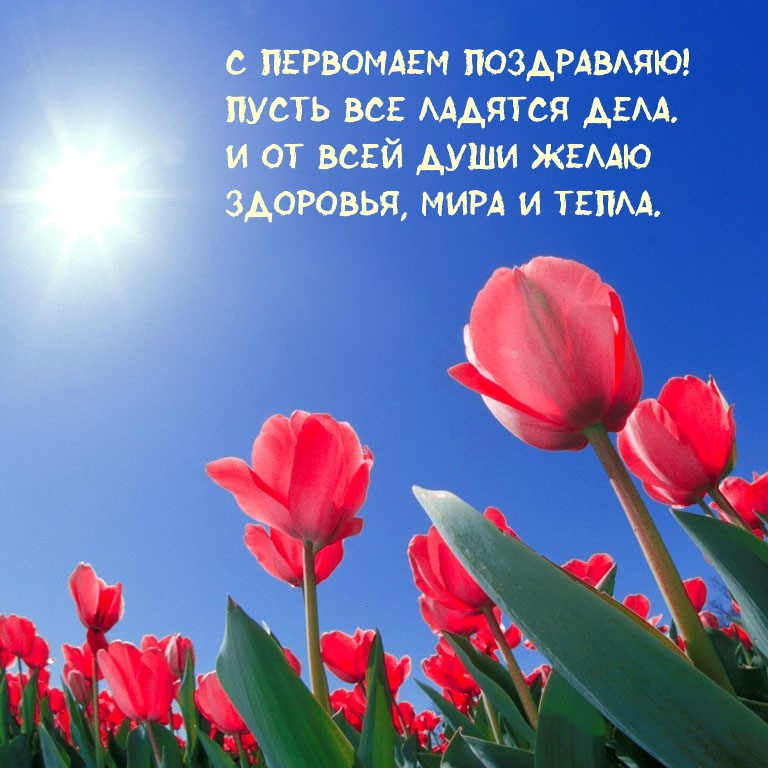 � ��������� ����������! ����� ��� ������� ����..
