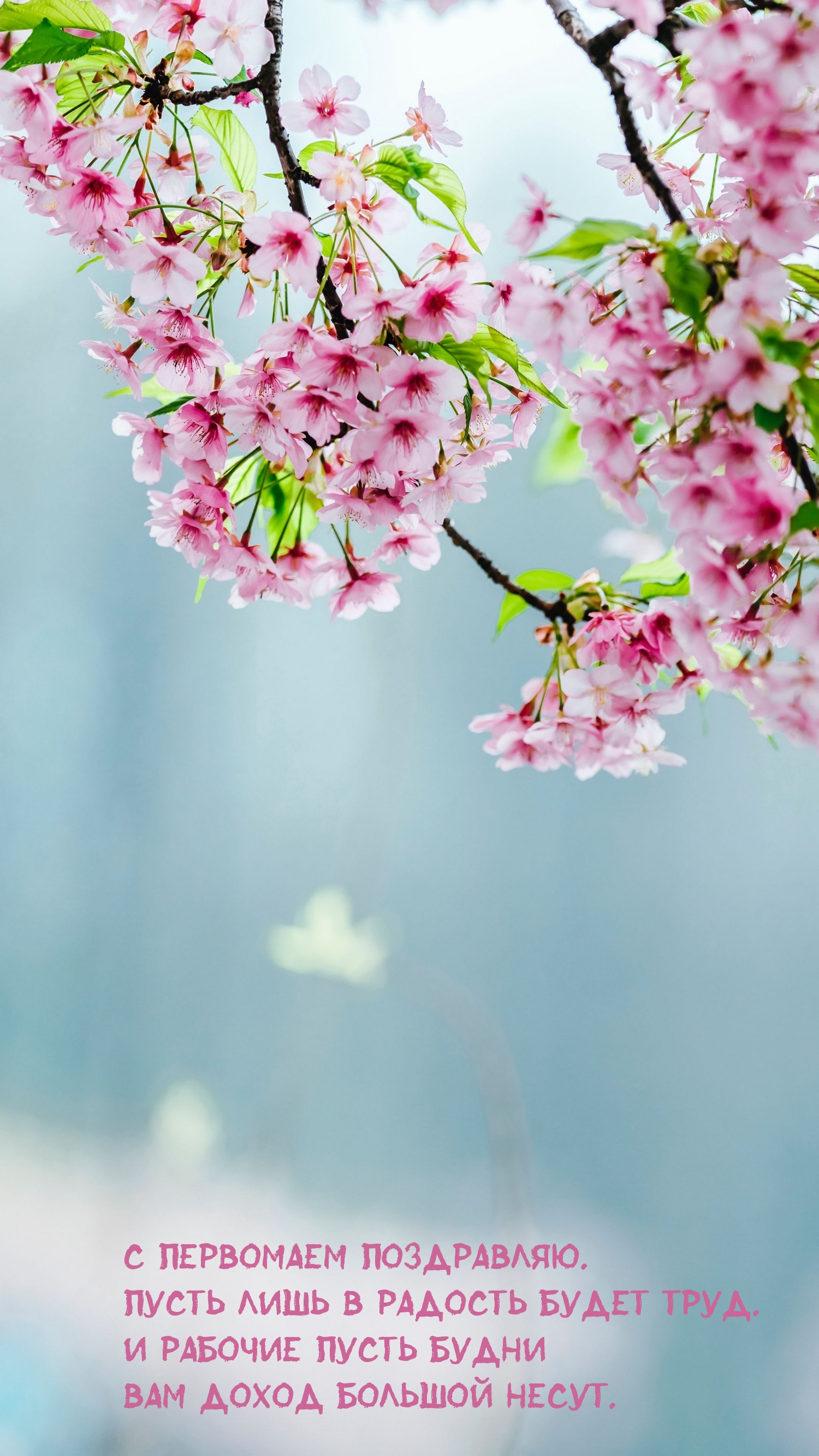 � ��������� ����������. ����� ���� � ������� ����� ����..