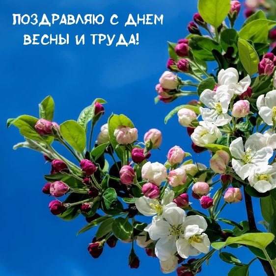 ���������� � ���� ����� � �����!.