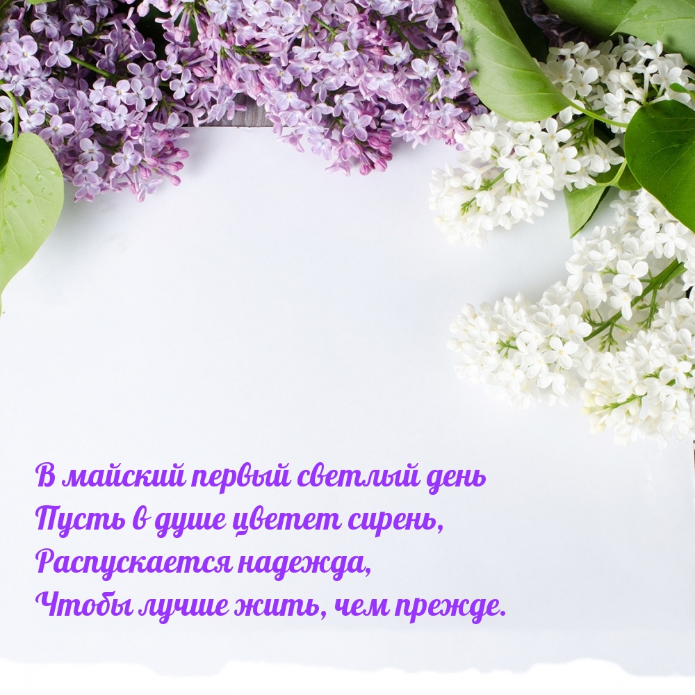 � ������� ������ ������� ����, ����� � ���� ������ ������.