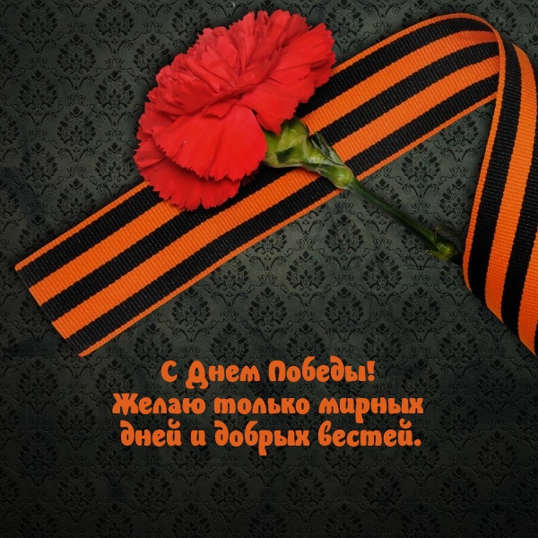 � ���� ������! ����� ������ ������ ���� � ������ ��������..