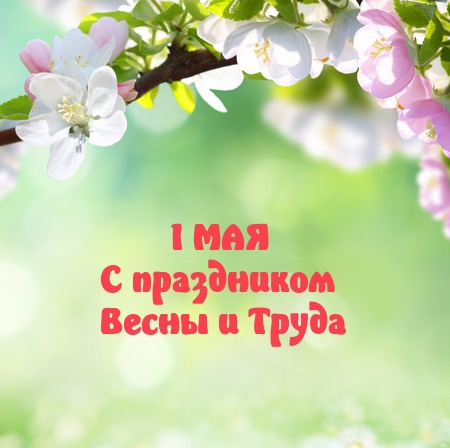 1 ��� � ���������� ����� � �����.