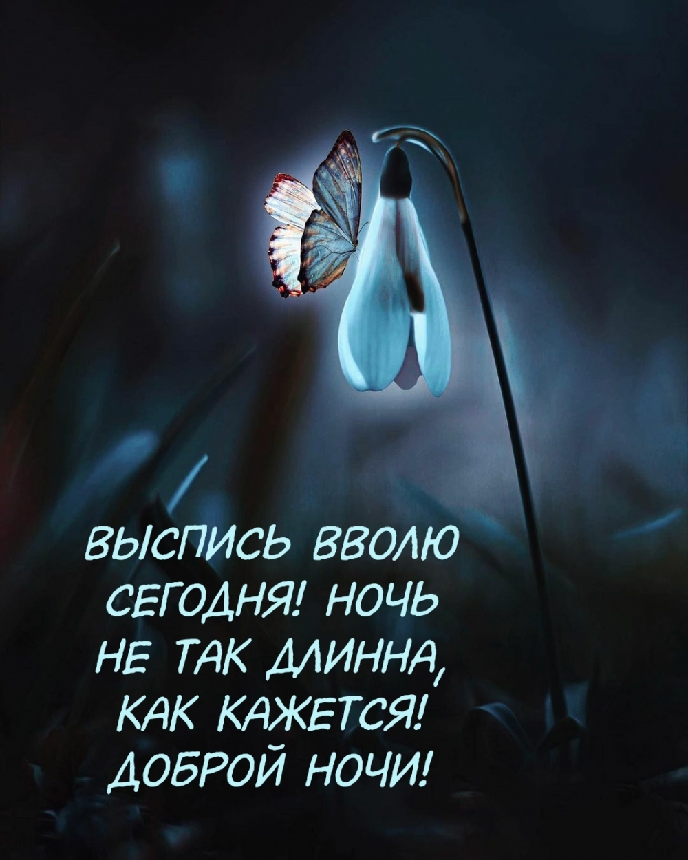 Вволю. Доброй ночи картинки с надписями необычные. Доброй ночи картинки с надписями необычные со смыслом. Доброй ночи необычные с надписями со смыслом. Афоризмы доброй ночи высыпайся.