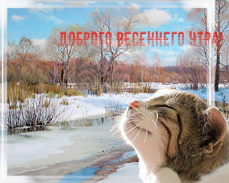 Доброго весеннего утра!