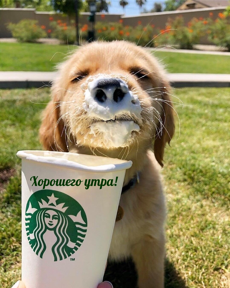 Хорошего утра!