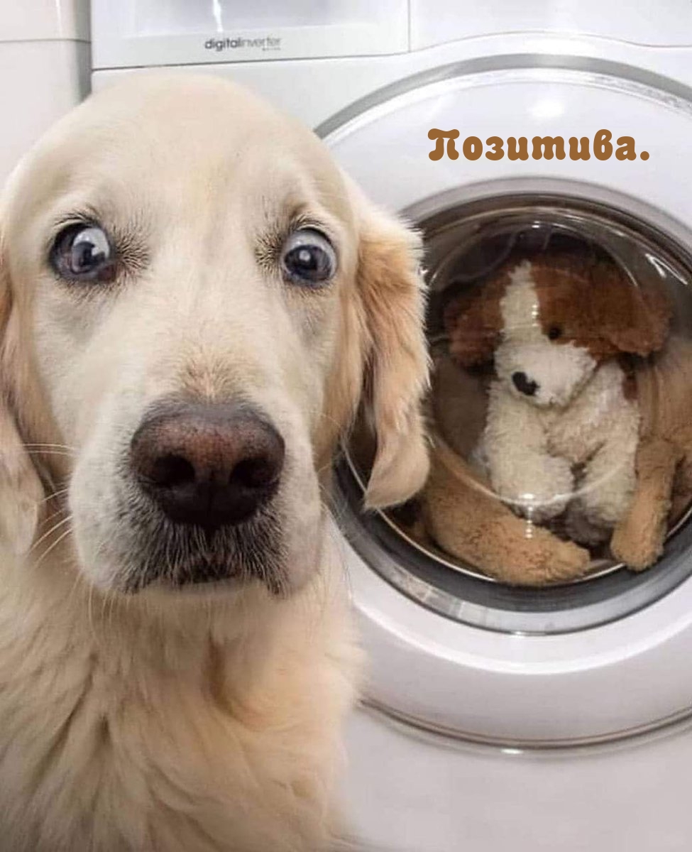 Что нарисовать для поднятия настроения. Смотреть фото Что нарисовать для поднятия настроения. Смотреть картинку Что нарисовать для поднятия настроения. Картинка про Что нарисовать для поднятия настроения. Фото Что нарисовать для поднятия настроения Что нарисовать для поднятия настроения. Смотреть фото Что нарисовать для поднятия настроения. Смотреть картинку Что нарисовать для поднятия настроения. Картинка про Что нарисовать для поднятия настроения. Фото Что нарисовать для поднятия настроения