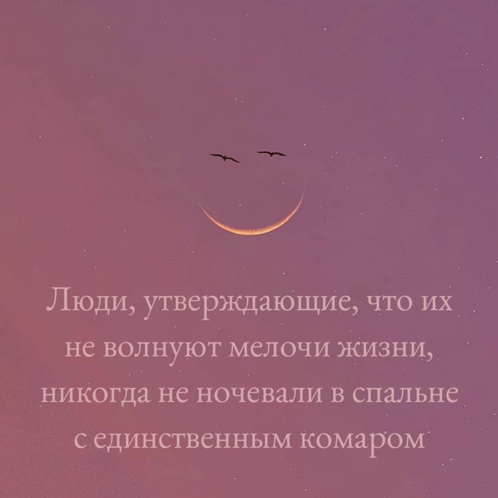 Поздравляю пофиг с чем картинки прикольные. Смотреть фото Поздравляю пофиг с чем картинки прикольные. Смотреть картинку Поздравляю пофиг с чем картинки прикольные. Картинка про Поздравляю пофиг с чем картинки прикольные. Фото Поздравляю пофиг с чем картинки прикольные
