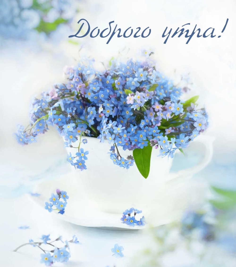 Доброго утра!